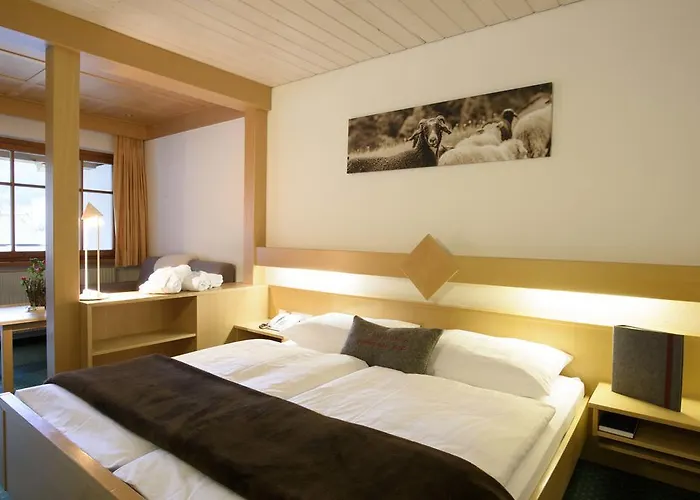 Sonnblick ガシュルン